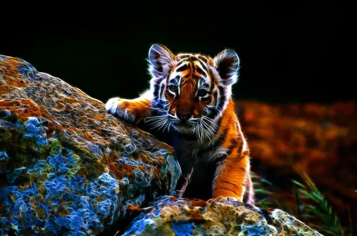С Тиграми Обои на телефон тигр, идущий по скале