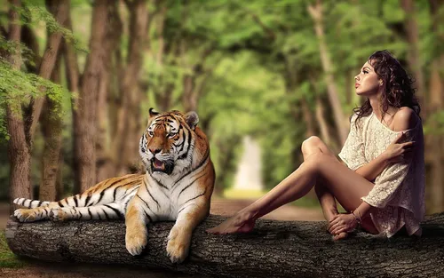 С Тиграми Обои на телефон человек, сидящий рядом с тигром
