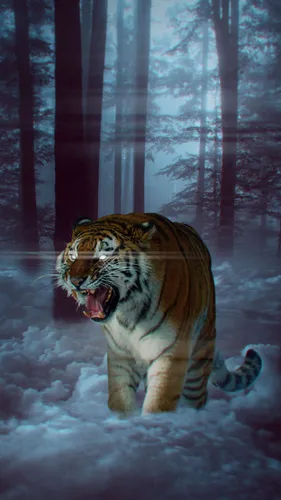 С Тиграми Обои на телефон тигр в снегу