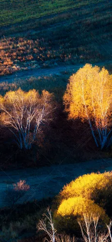 Осенние Бесплатно Обои на телефон река с деревьями вокруг нее