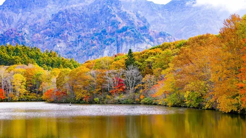 Осенние Бесплатно Обои на телефон озеро с деревьями вокруг него