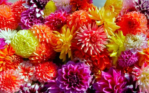Осенние Пинтерест Обои на телефон группа разноцветных цветов