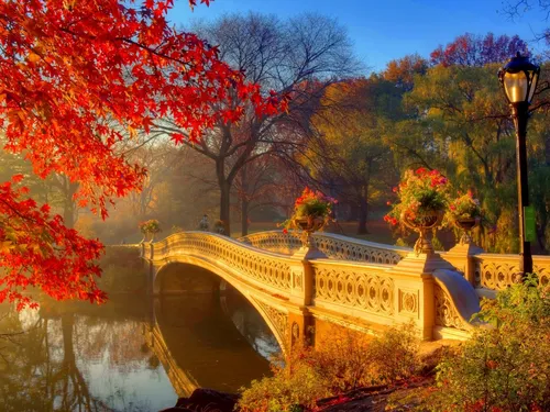 Осень Рябина Обои на телефон мост через водоем