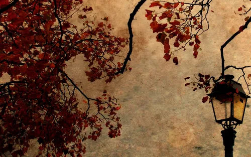Осень Рябина Обои на телефон фонарный столб с красными листьями
