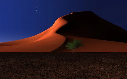 Пустыня Обои на телефон дерево в пустыне