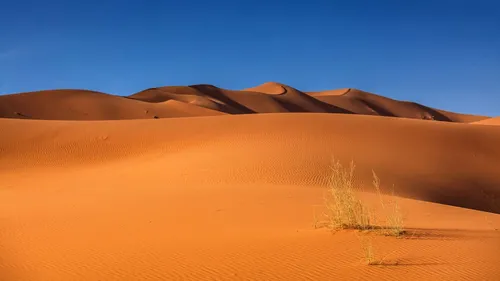 Пустыня Обои на телефон для Windows