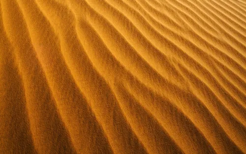 Пустыня Обои на телефон крупный план деревянной поверхности