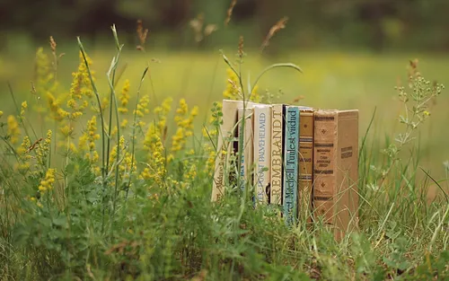 Старые Обои на телефон группа книг в травянистом поле