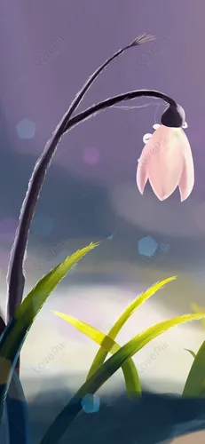Фото Цветы Обои на телефон цветок крупным планом