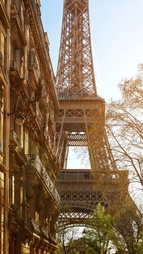 Франция Обои на телефон высокая башня с мостом
