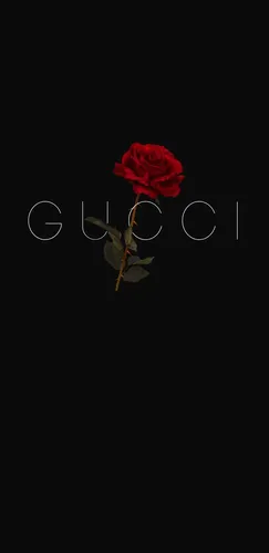 Gucci Обои на телефон роза на черном фоне