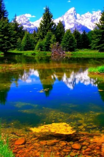 Природа Фото озеро с деревьями и горами на заднем плане