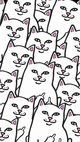 Ripndip Обои на телефон карикатура на кота