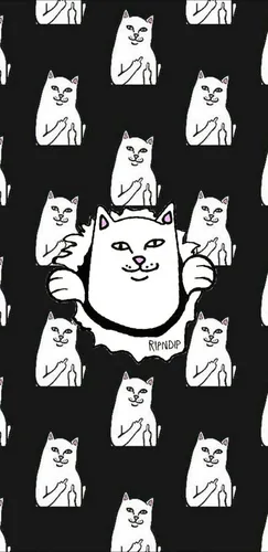 Ripndip Обои на телефон группа людей позирует перед камерой