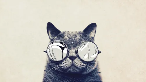Swag Обои на телефон кошка в очках