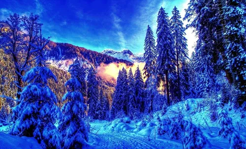 Бесплатные Зима Обои на телефон снежный лес ночью