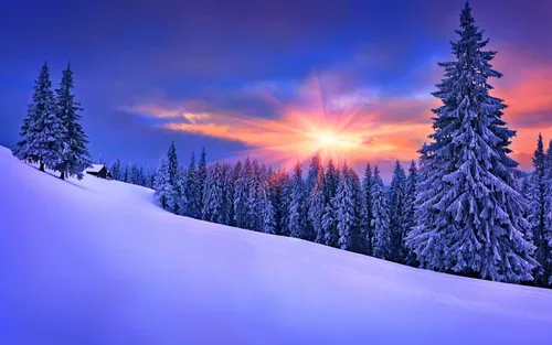 Бесплатные Зима Обои на телефон снежный холм с деревьями