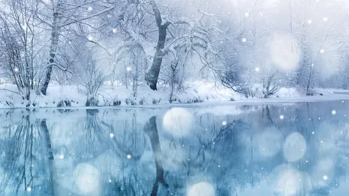 Бесплатные Зима Обои на телефон водоем со снегом сбоку и деревьями вокруг