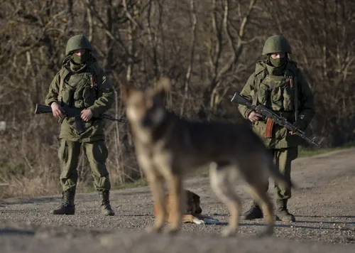 Вежливые Люди Обои на телефон двое мужчин в военной форме с оружием и собакой