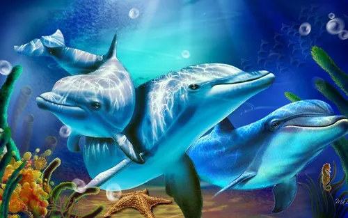 Дельфин Обои на телефон снимок