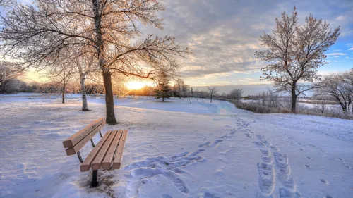 Зима Hd Обои на телефон скамейка в заснеженном парке