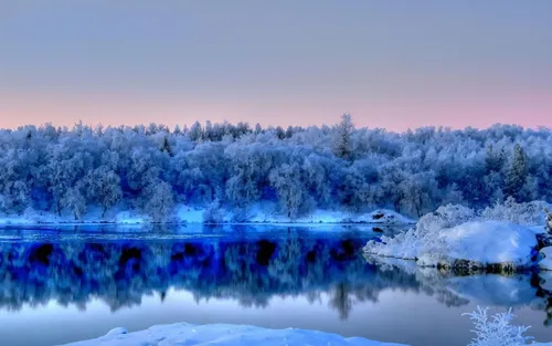 Зима Hd Обои на телефон озеро, окруженное заснеженными деревьями