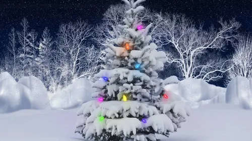 Зима Hd Обои на телефон заснеженное дерево в заснеженном лесу