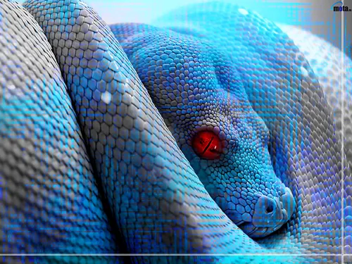 Змея Hd Обои на телефон синий осьминог с красными глазами