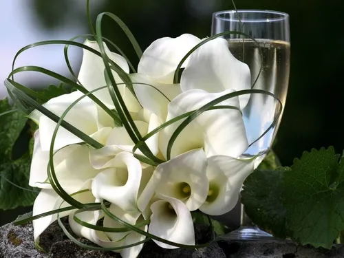 Каллы Обои на телефон стеклянная ваза с белыми цветами