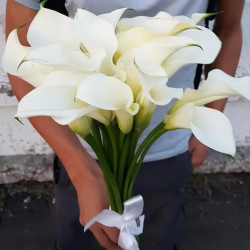Каллы Обои на телефон человек с букетом белых цветов