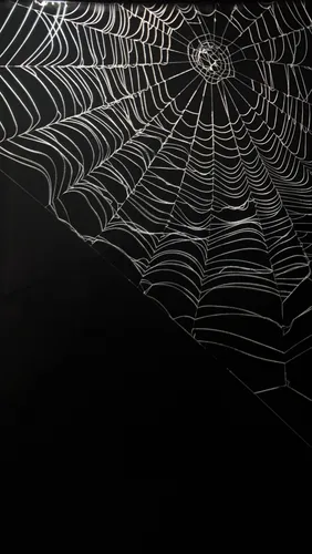 Кожаные Обои на телефон черно-белое изображение паутины