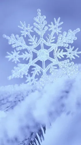 Красивые Зимние Обои на телефон снежинка крупным планом