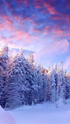 Красивые Зимние Обои на телефон снежный пейзаж с деревьями и горами