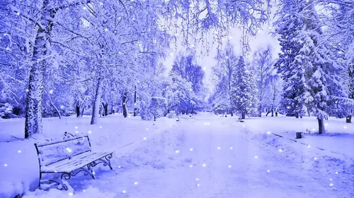 Красивые Зимние Обои на телефон скамейка в заснеженном парке