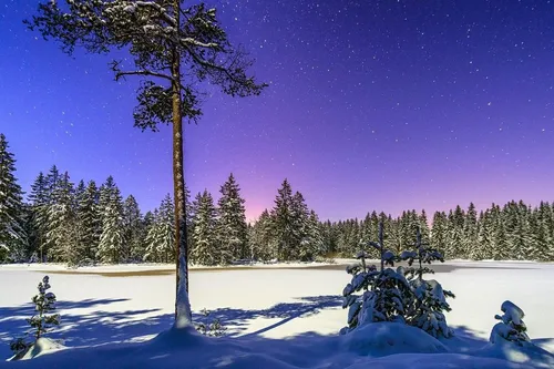 Красивые Зимние Обои на телефон заснеженное поле с деревьями и фиолетовым небом