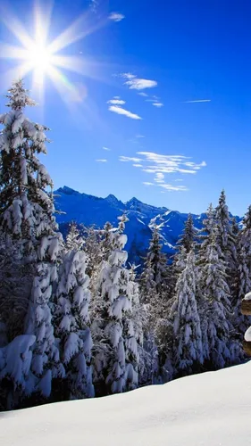 Красивые Зимние Обои на телефон снежная гора с деревьями