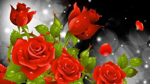 Красивые Розы Обои на телефон группа красных цветов