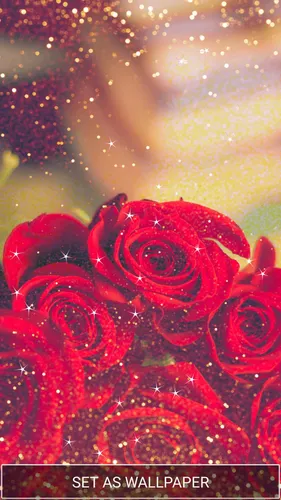 Красивые Розы Обои на телефон красная роза с каплями воды