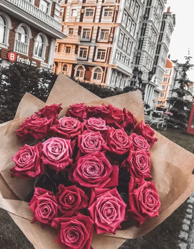 Красивые Розы Обои на телефон большая группа роз