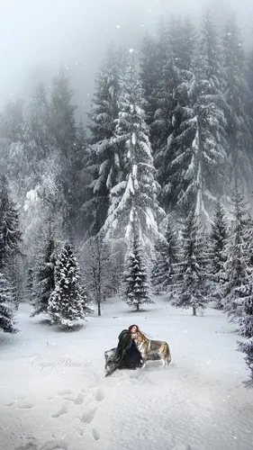 Зимние Зима Обои на телефон собака и человек на снегу