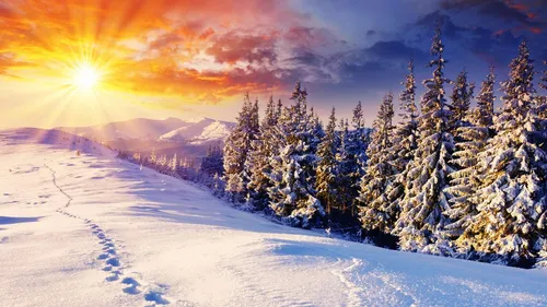 Зимние Зима Обои на телефон снежная гора с деревьями и солнцем на заднем плане