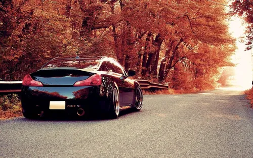 Крутые Осень Обои на телефон спортивный автомобиль, припаркованный на дороге с деревьями по обе стороны