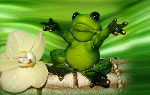 Лягушка Обои на телефон зеленая лягушка на листе