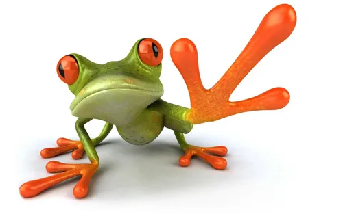 Лягушка Обои на телефон зеленая лягушка с оранжевыми ножками