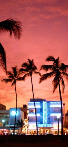 Майами Обои на телефон пальмы перед зданием