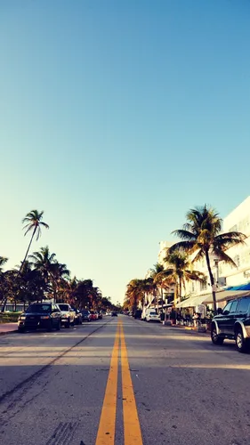 Майами Обои на телефон улица с пальмами и автомобилями