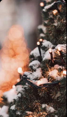 Новогодние Пинтерест Обои на телефон рождественская елка с огнями