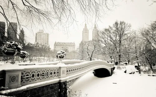 Новогодний Нью Йорк Обои на телефон черно-белая фотография парка со снегом и деревьями