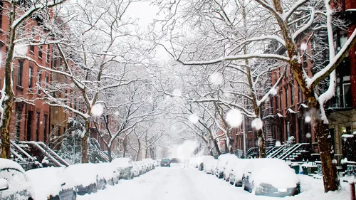 Новогодний Нью Йорк Обои на телефон заснеженная улица с автомобилями и деревьями