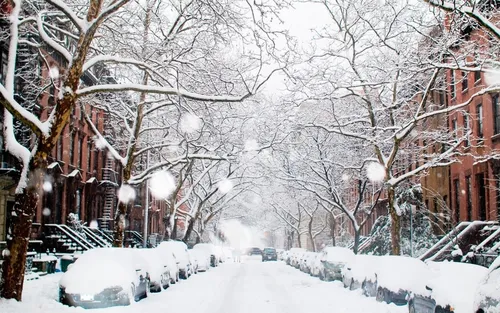 Новогодний Нью Йорк Обои на телефон заснеженная улица с деревьями и зданиями